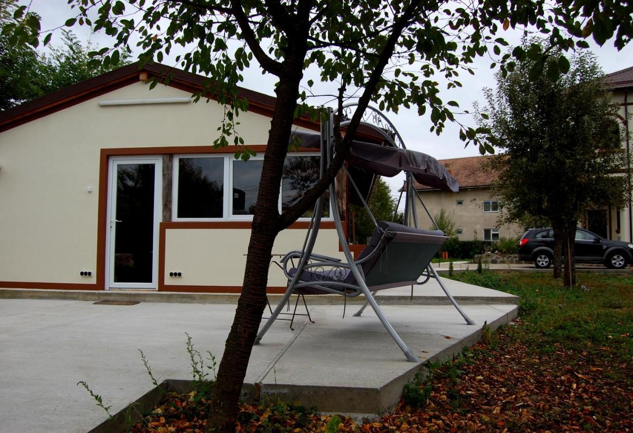 Vila Phoenix Călimăneşti Buitenkant foto