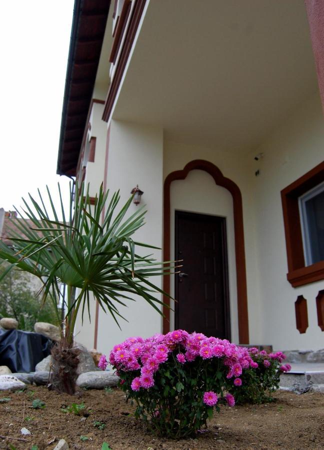 Vila Phoenix Călimăneşti Buitenkant foto