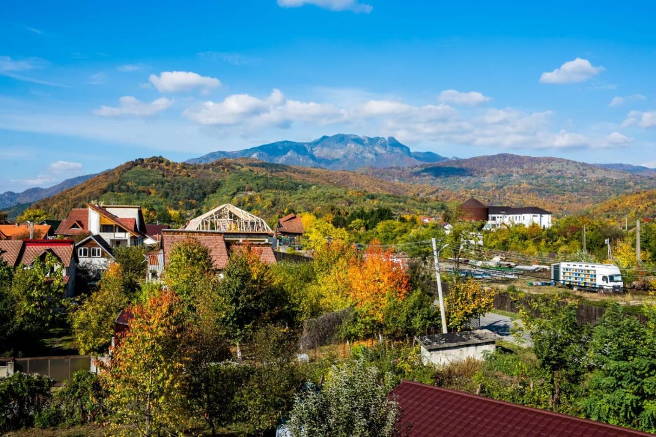 Vila Phoenix Călimăneşti Buitenkant foto