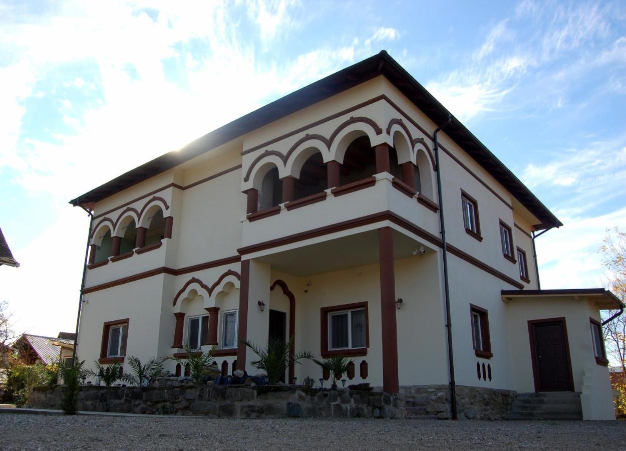 Vila Phoenix Călimăneşti Buitenkant foto