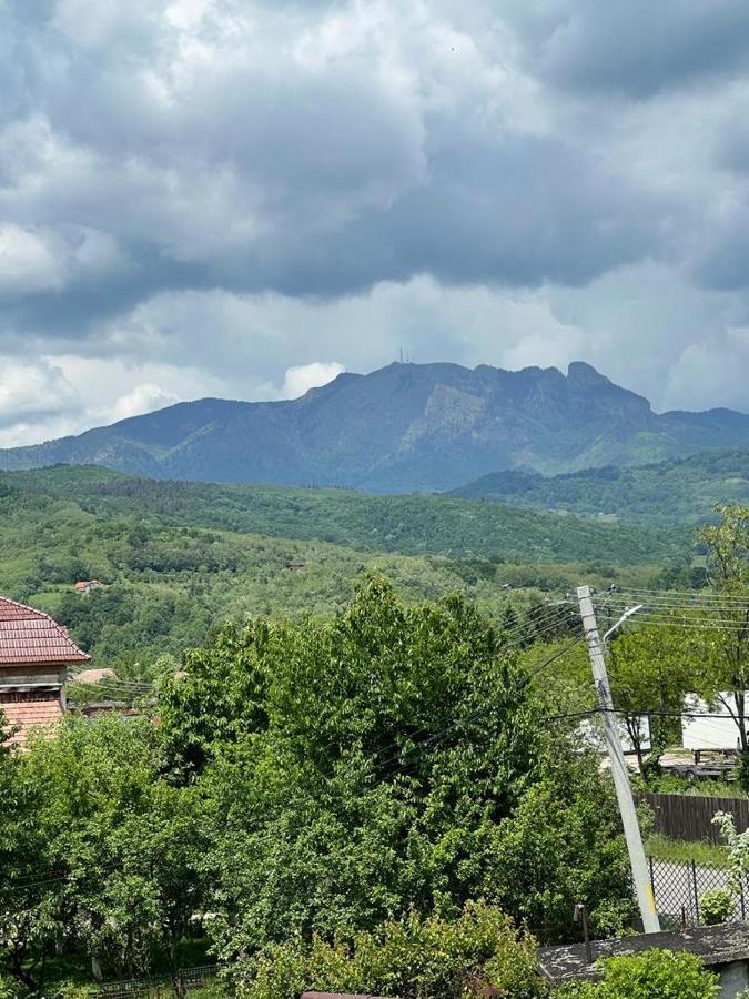 Vila Phoenix Călimăneşti Buitenkant foto